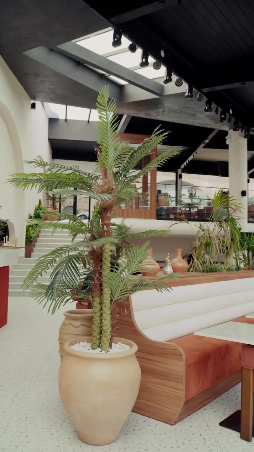 Palms inside Gardens